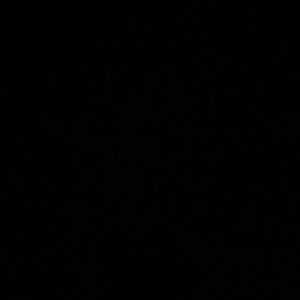 Meet your Posher, Lilly